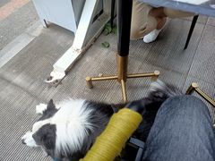 -the rug 飞毯 (朝阳公园店)