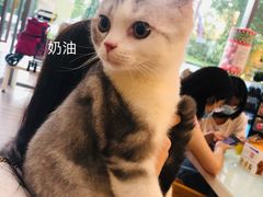 -瑞鹏宠物医院·眼科·皮肤·中兽医(大悦城分院)