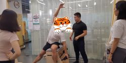 -1001普拉提运动