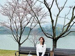 -羊山湖公园