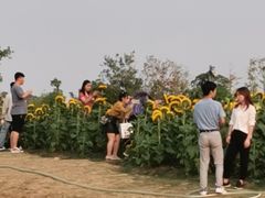 -瑶湖郊野森林公园
