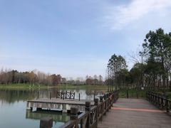-尚贤河湿地