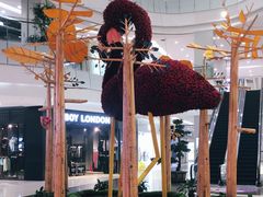 -凯德广场(学府店)