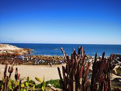 -广东惠东海龟国家级自然保护区