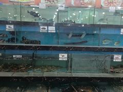 -源海渔村·现捞海鲜(大角湾店)