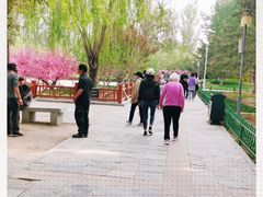 -燕郊植物园