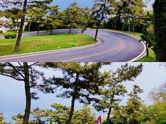 -棒棰岛宾馆景区