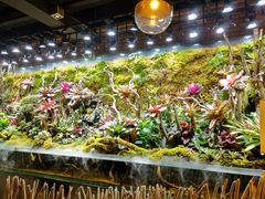 -玖壹咖啡(临河街店)