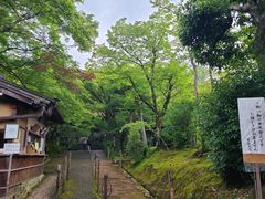 -常寂光寺