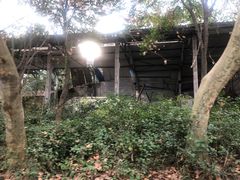 -绵竹市汉旺地震遗址公园