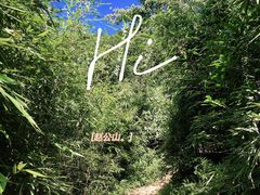 -窦圌山风景区