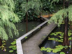 -广州兰圃