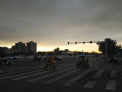 -张一元(前门店)
