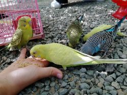 -萌宠亲子动物乐园(槐房万达店)