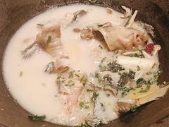 -鲜潭蒸汽石锅鱼(五道口购物中心店)