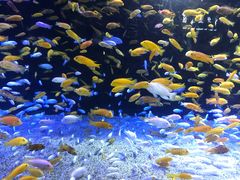 -成都浩海立方海洋公园