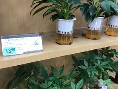 -大润发(王庄店)