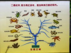 -上海昆虫博物馆