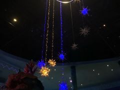 -青岛嘉年华主题乐园