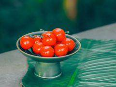 -扬州大运河文化旅游度假区·盆景园