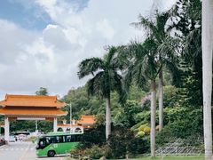 -深圳仙湖植物园
