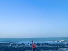 -漳州滨海火山岛自然生态风景区