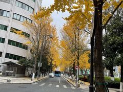 -都谷包子(天一广场店)
