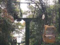 -缙云山景区