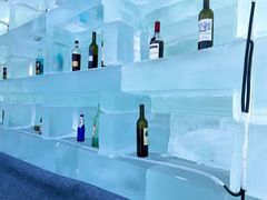 -长春世界雕塑园冰雪艺术天地