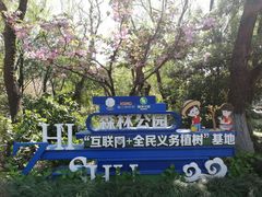 -昆山城市生态森林公园