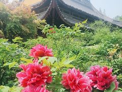 -龙华寺