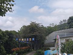 -青青世界