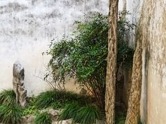 -艺圃