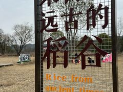 -河姆渡遗址博物馆
