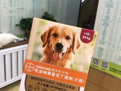 -瑞派宠物医院·中兽医专科(中央商城分院)