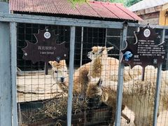 -意大利农场度假村