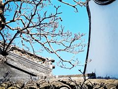 -上海醉白池公园