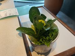 -百年果林椰子鸡(中洲店)