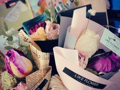 -植物学家的女儿(北马道巷店)