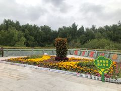 -大亚湾红树林城市湿地公园