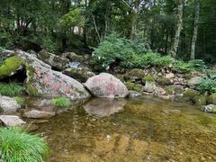 -洛阳白云山景区