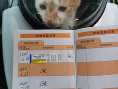 -福州肆爪动物医院