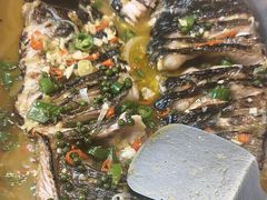 -鱼酷活鱼烤鱼(沈阳大悦城店)