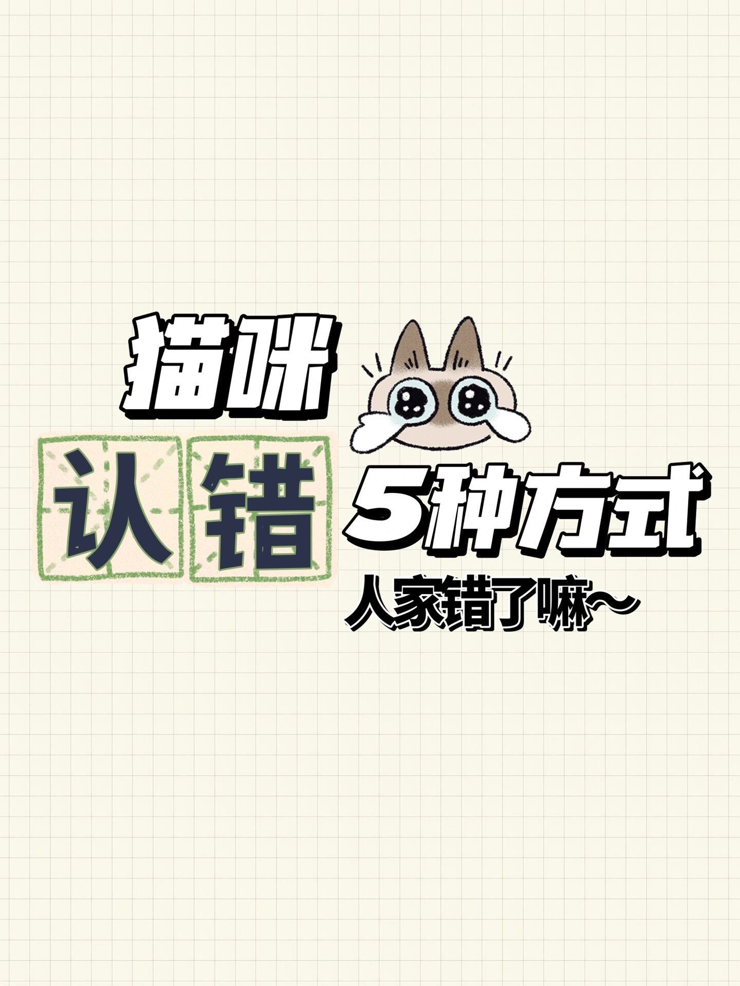 猫咪认错的五种方式你都知道吗