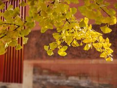 -承恩寺