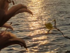 -柳莺湖上·湖景餐厅·江南菜(西湖店)