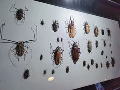 -燕莎友谊商城(亮马桥店)