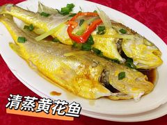 -蛇口康乐快餐鱼仔档(翠苑小区店)