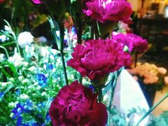 大堂-花十悦·鲜花咖啡餐厅(振业城一期店)