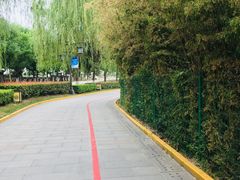 -西安汉城湖景区